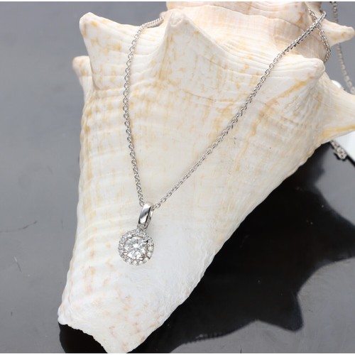 Punto luce crivelli oro - di,